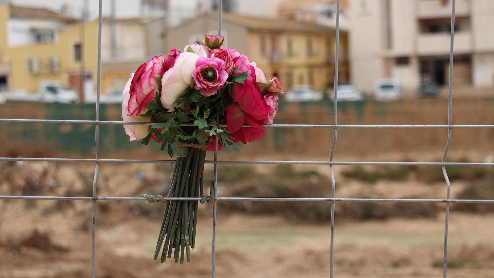 Amnistía Internacional denuncia que la Generalitat "vulneró derechos" en la dana - Informativo 24h | Ver