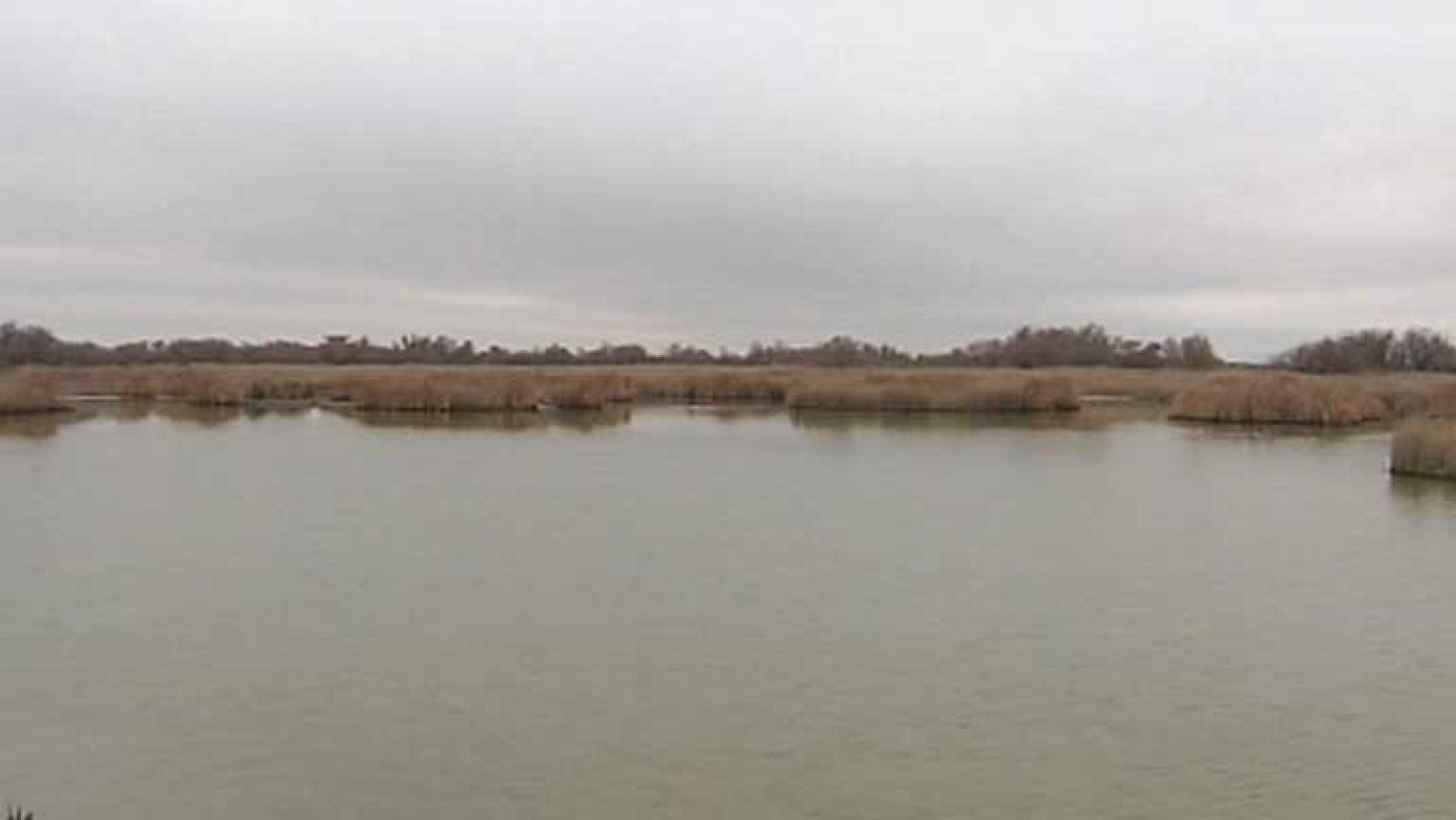 Red Natura 2000, red de espacios naturales de alto valor ecológico