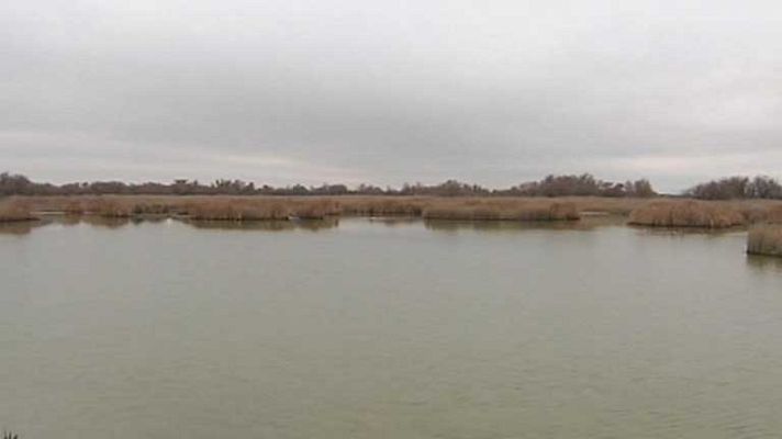 Telediario 1 - Red Natura 2000