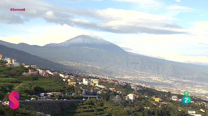 Somos 8 - Somos 8 - 10/04/2025