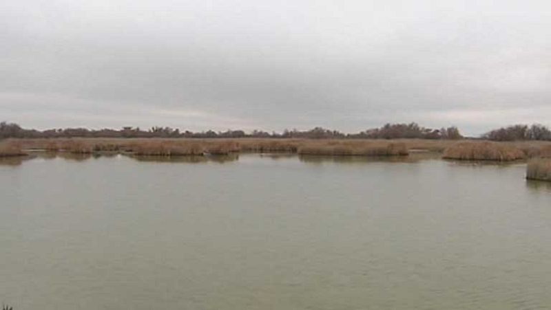 Red Natura 2000, red de espacios naturales de alto valor ecológico