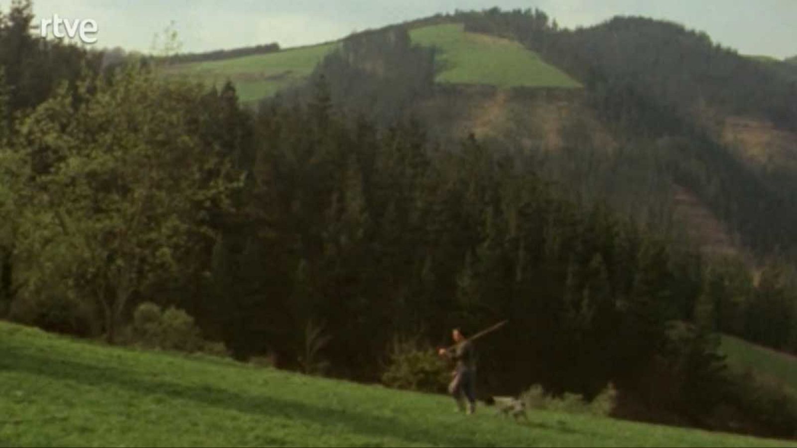 Raíces - Apuntes vascos - Raíces | Ver