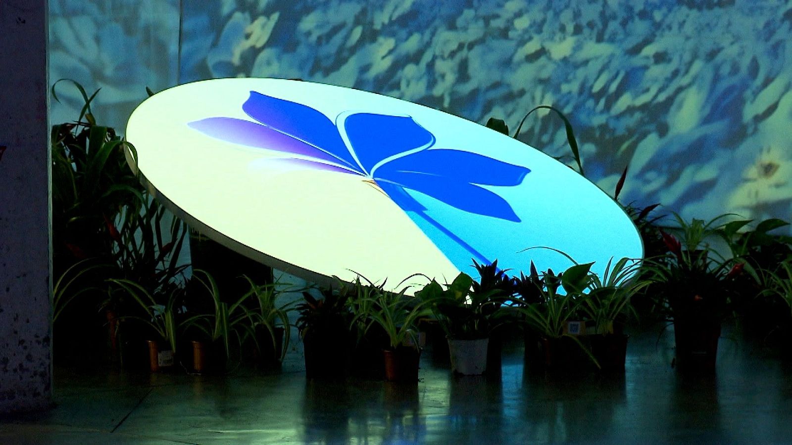 Zoom Net - Google Health y la IA, The Wave y Biophest - ver ahora