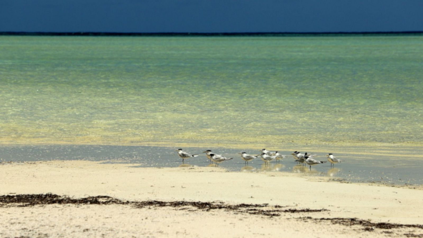 Sabores del mundo - Las Seychelles, un paraíso medioambiental - ver ahora