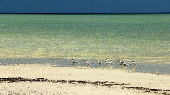 Sabores del mundo - Las Seychelles, un paraíso medioambiental