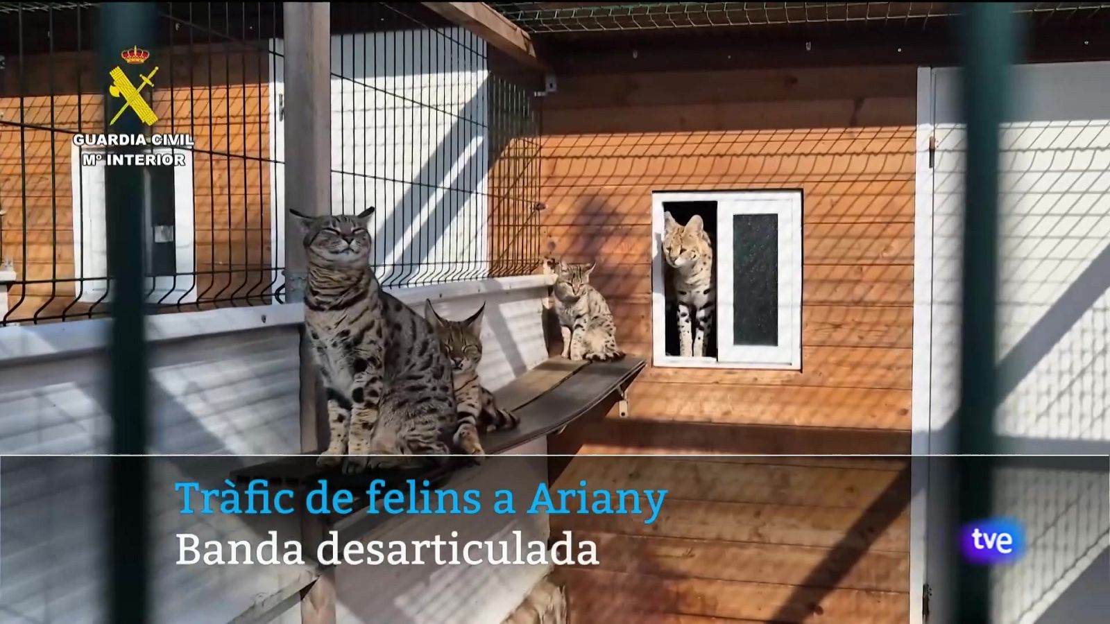 Informatiu Balear en 2' - 14/04/25 | Ver