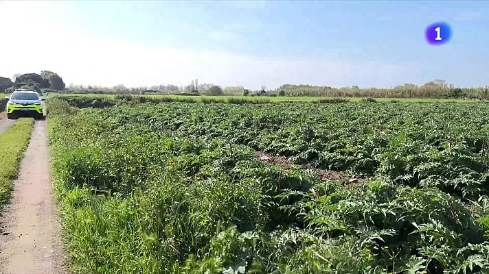 L'Informatiu - Augmenta el patrullatge als conreus del Baix Llobregat