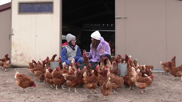 Aquí la Tierra - Una Granja para las Gallinas