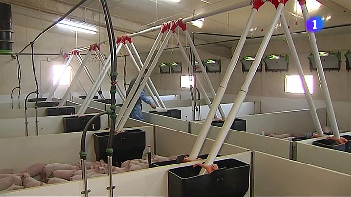 L'Informatiu - L'Informatiu 2 - 16/04/2025