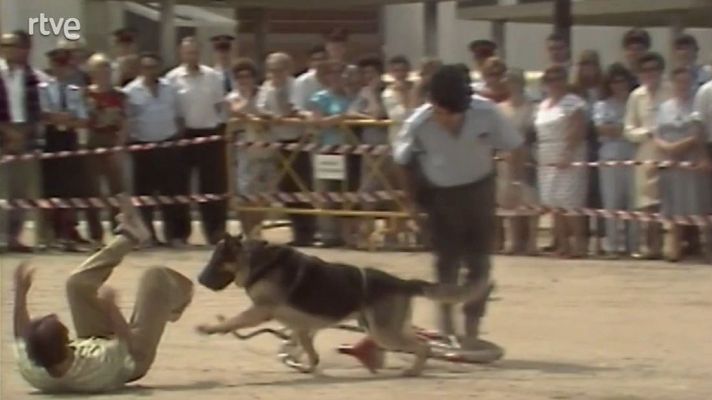 Mostra d'habilitats a l'escola de Policia de Catalunya