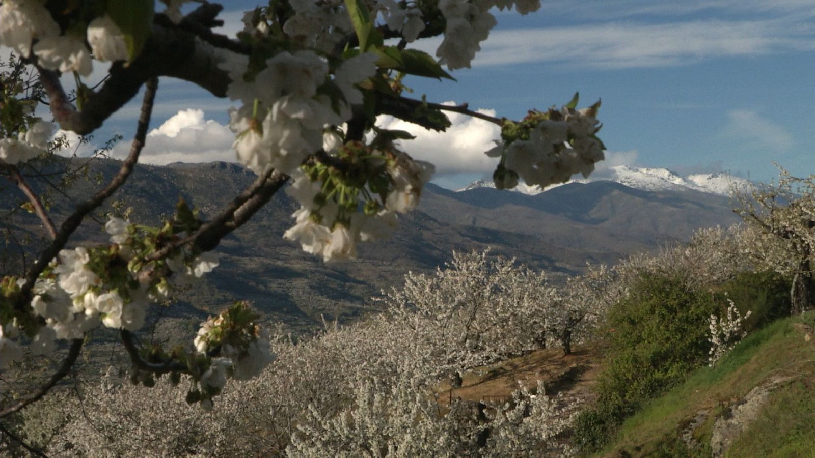 Extremadura, per les valls del nord de Càceres - Veure Ara