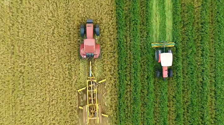 Hope! Estamos a tiempo (Versión doblada) - El poder de dos palabras