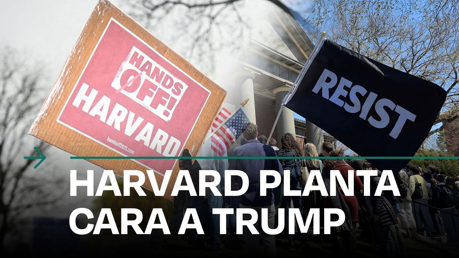 Harvard denuncia a la Administración Trump por congelación de fondos - Modo Digital | Ver