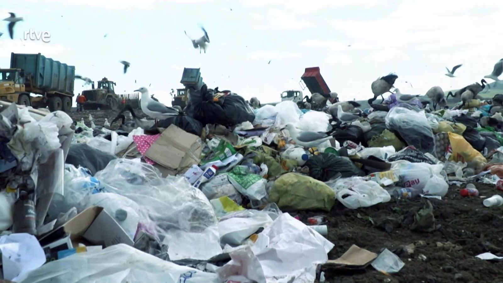 Aquí la Tierra - 22/04/25 - ver ahora