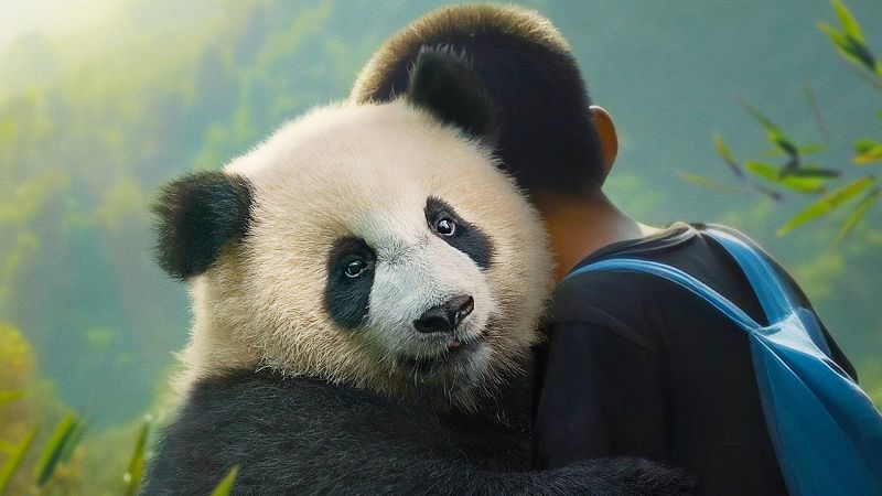 Das de Cine: Moon, mi amigo panda