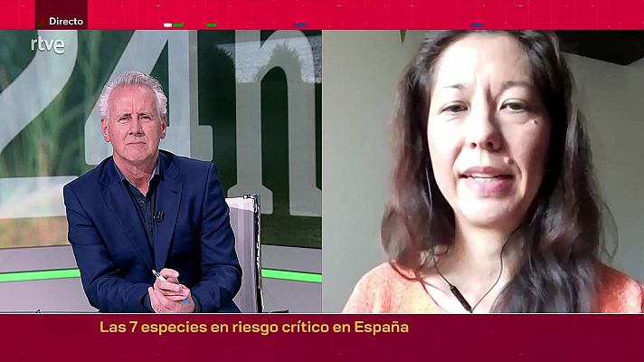 Objetivo Planeta - Las 7 especies en riesgo crítico en España