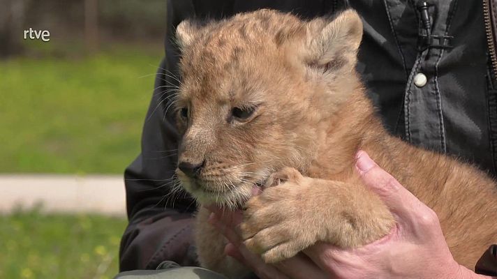 Aquí la Tierra - Aquí la Tierra - 25/04/25