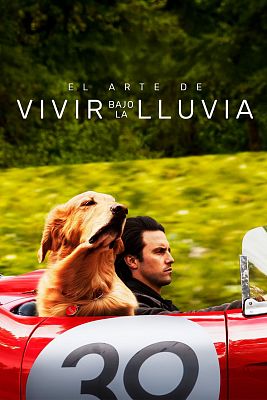El arte de vivir bajo la lluvia