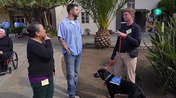 En lengua de signos - Presos de San Quintín entrenan a futuros perros de asistencia