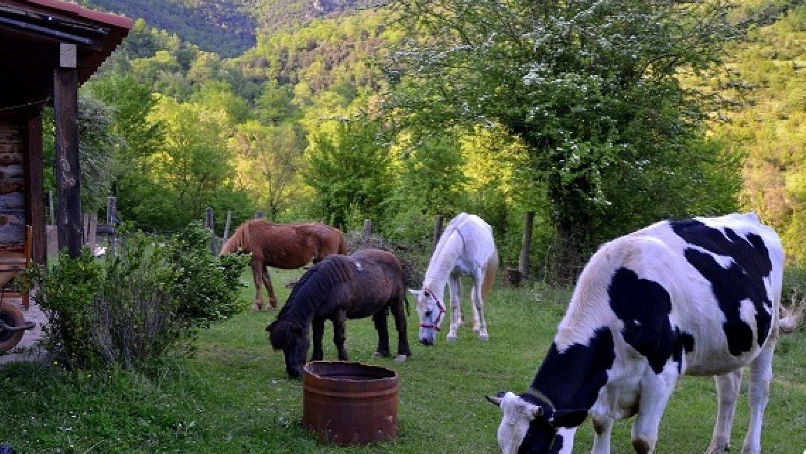 Para todos La 2 - 03/05/25 - ver ahora
