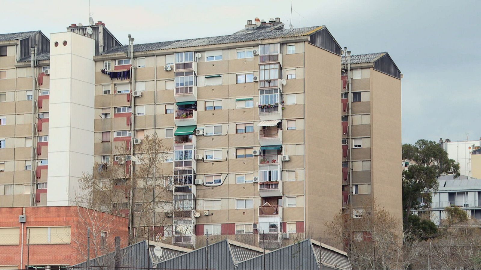 Repor - La magia de Badia - ver ahora