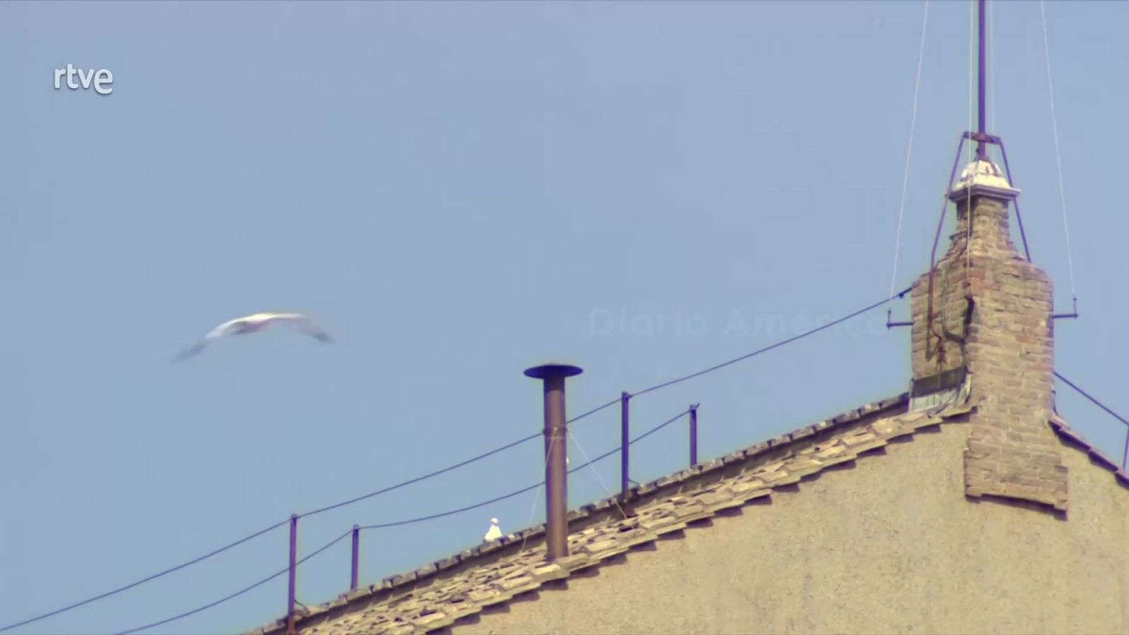 Telediario Internacional - 04/05/25 - ver ahora