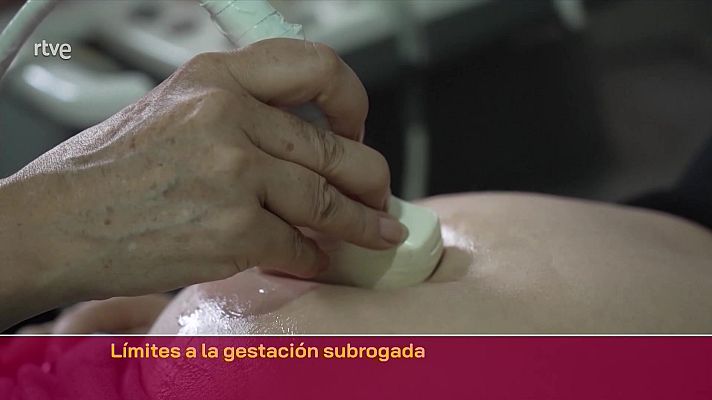 Parlamento - límites a la gestación subrogada
