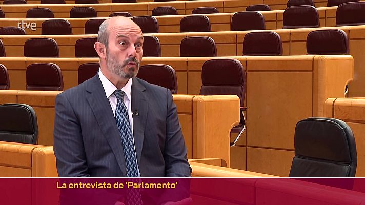 Parlamento - Pedro Rollán