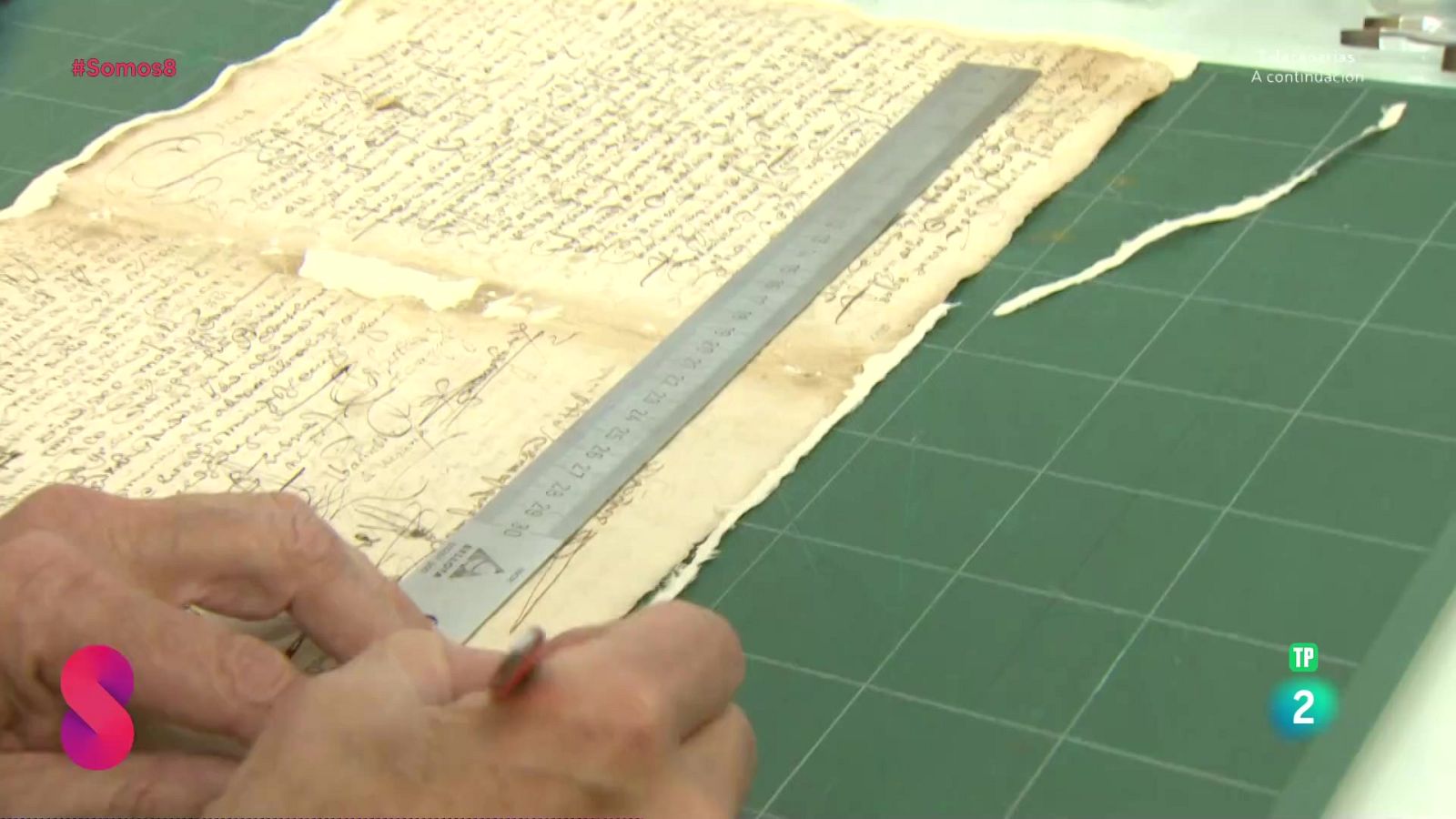 Somos 8 - 05/05/2025 - Somos 8 | Ver