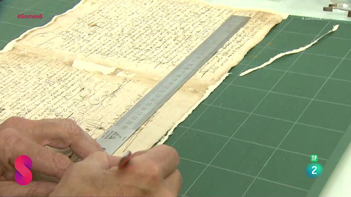 Somos 8 - Somos 8 - 05/05/2025