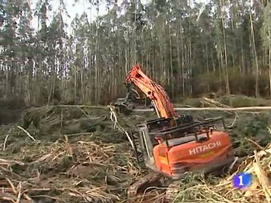 TeleCantabria - Cantabria en 2' - 09/01/2013