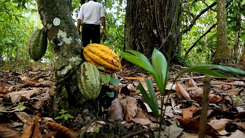 Forjadores del maana - T2 - Episodio 2: Proteger la biodiversidad - ver ahora