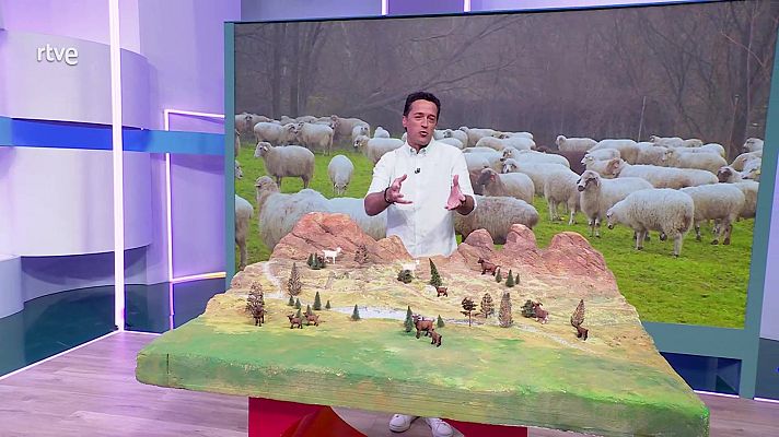 Aquí la Tierra - Aquí la Tierra - 07/05/25