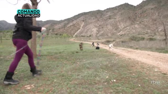  - 'La vida perra', en 'Comando Actualidad'