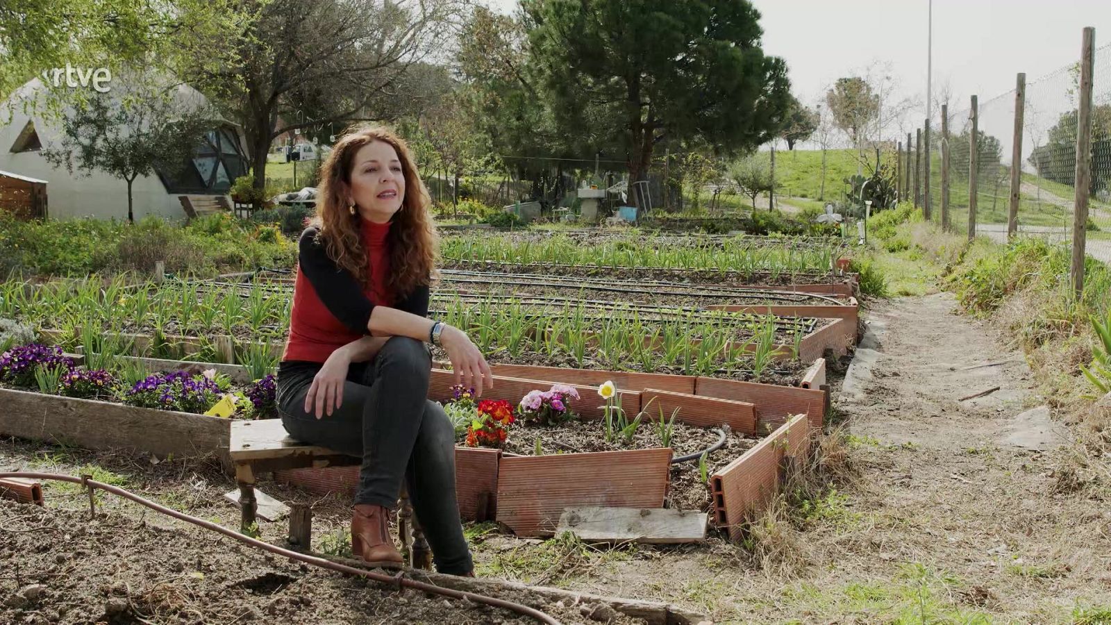 UNED - 09/05/25 - ver ahora