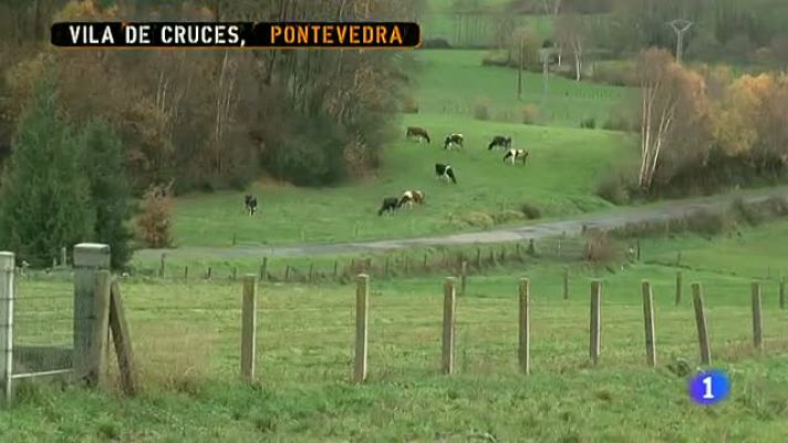 Comando Actualidad - Tirando los precios - El precio de la leche