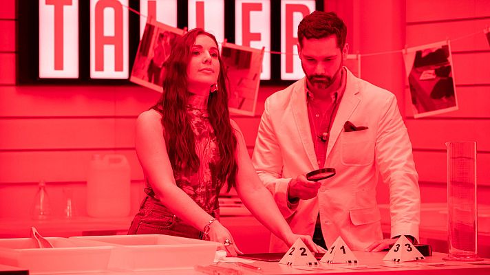 La familia de la tele - ¿Qué hay en la foto de Amelia Bono?