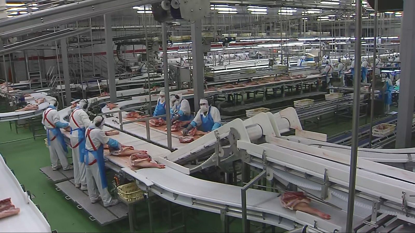 Agrosfera - 10/05/25 - ver ahora