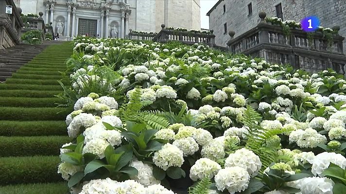L'Informatiu - Girona dona la benvinguda a Temps de Flors 2025
