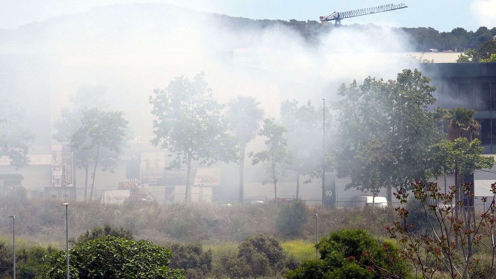 Telediario 1 en cuatro minutos - 10/05/25 - RTVE.es | Ver