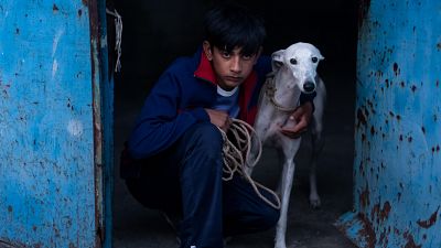 RTVE.es estrena el triler de 'Ciudad sin sueo', seleccionada en la Semana de la Crtica del Festival de Cannes