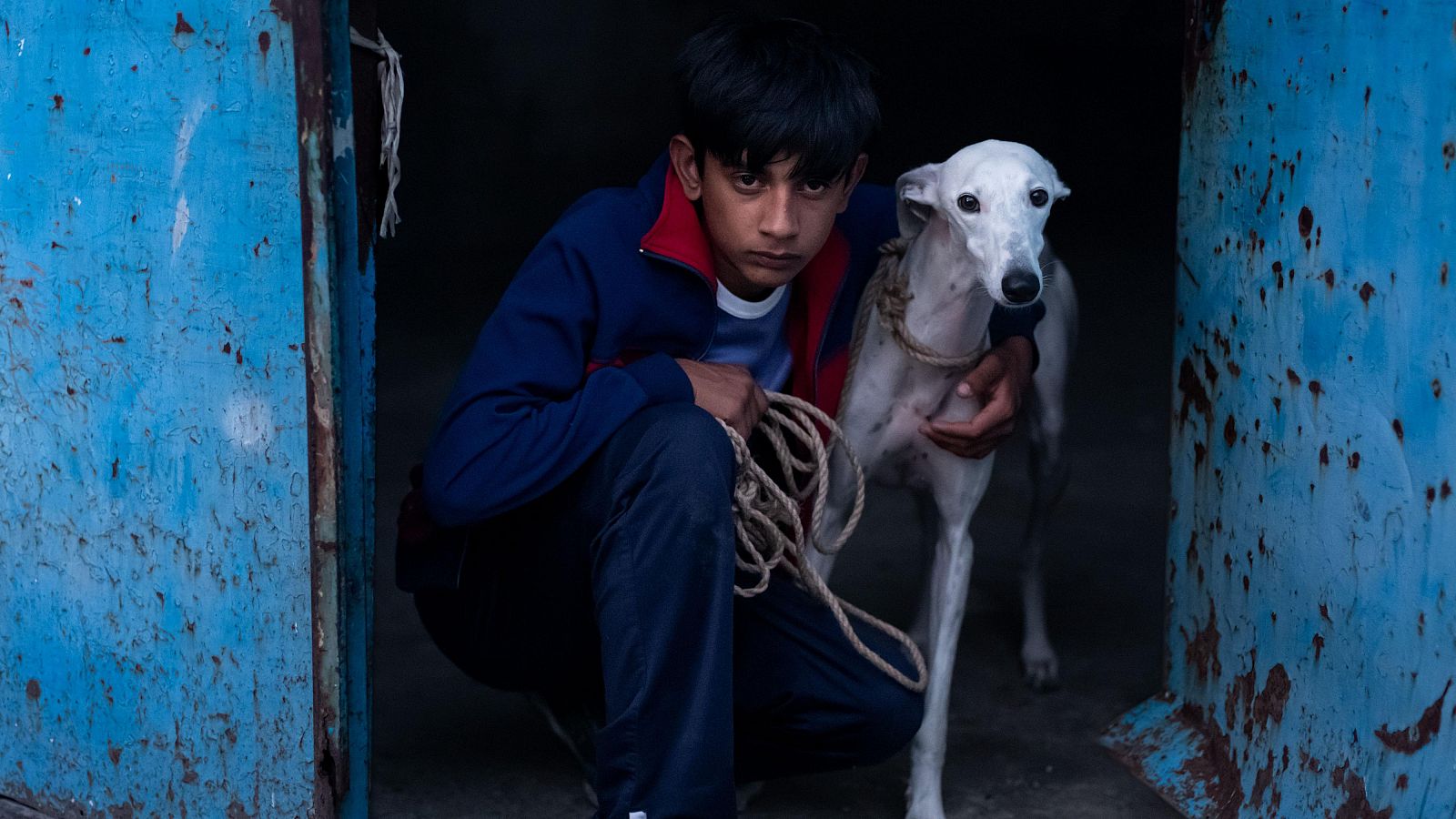 RTVE.es estrena el tráiler de 'Ciudad sin sueño', seleccionada en la Semana de la Crítica del Festival de Cannes