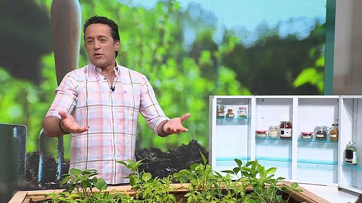 Aquí la Tierra - Aquí la Tierra - 12/05/25