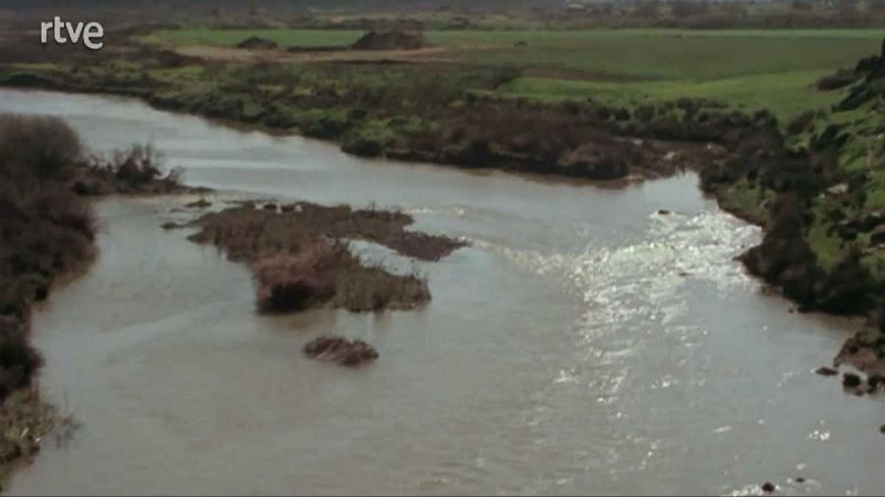 Los ríos - Guadiana (III) - Los ríos | Ver