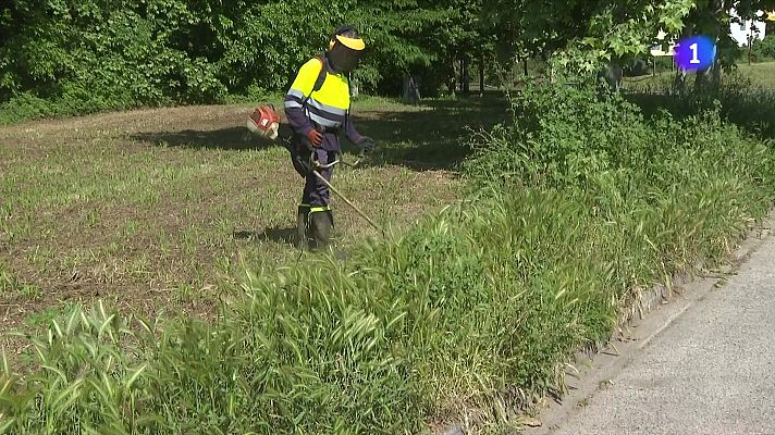 L'Informatiu - La pluja fa créixer la vegetació i multiplica la feina de desbrossa