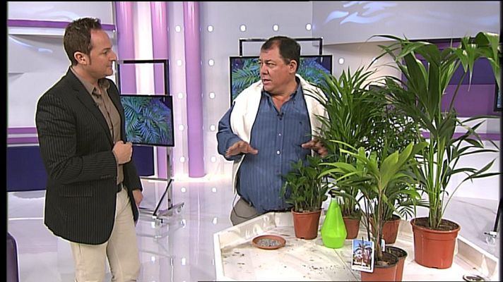 Cerca de ti - Cerca de ti - 10/01/13