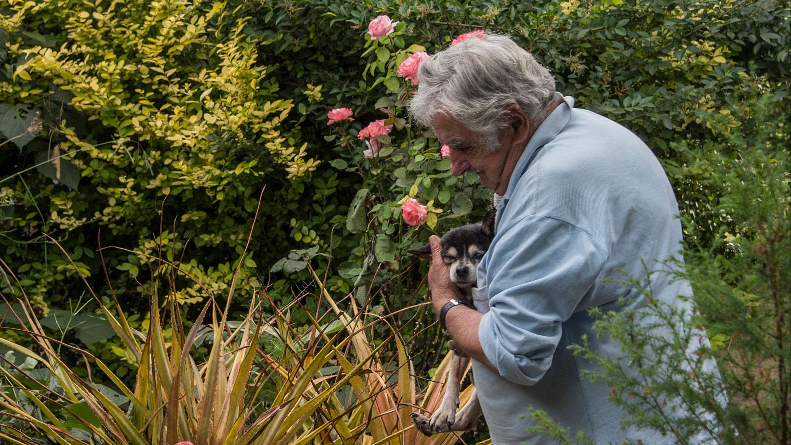 El expresidente de Uruguay José Mujica muere a los 89 años por un cáncer de esófago