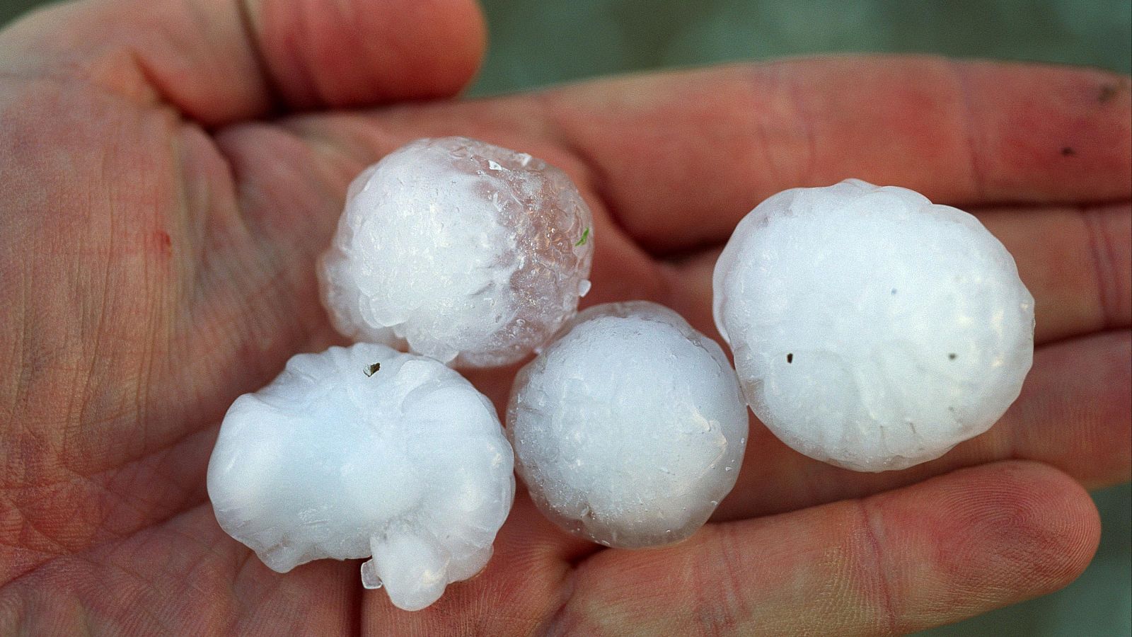 El granizo es más intenso en los últimos años - Telediario 1 | Ver