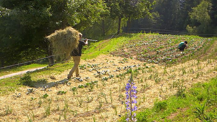 Forjadores del mañana - Agricultura sostenible