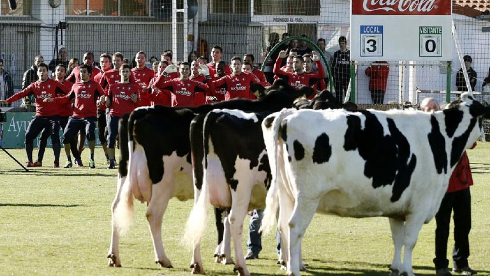 Osasuna presenta tres fichajes de peso